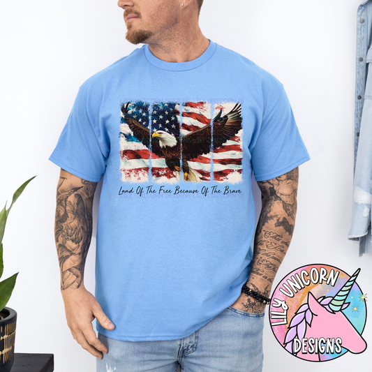 Land of the Free Because of the Brave Eagle